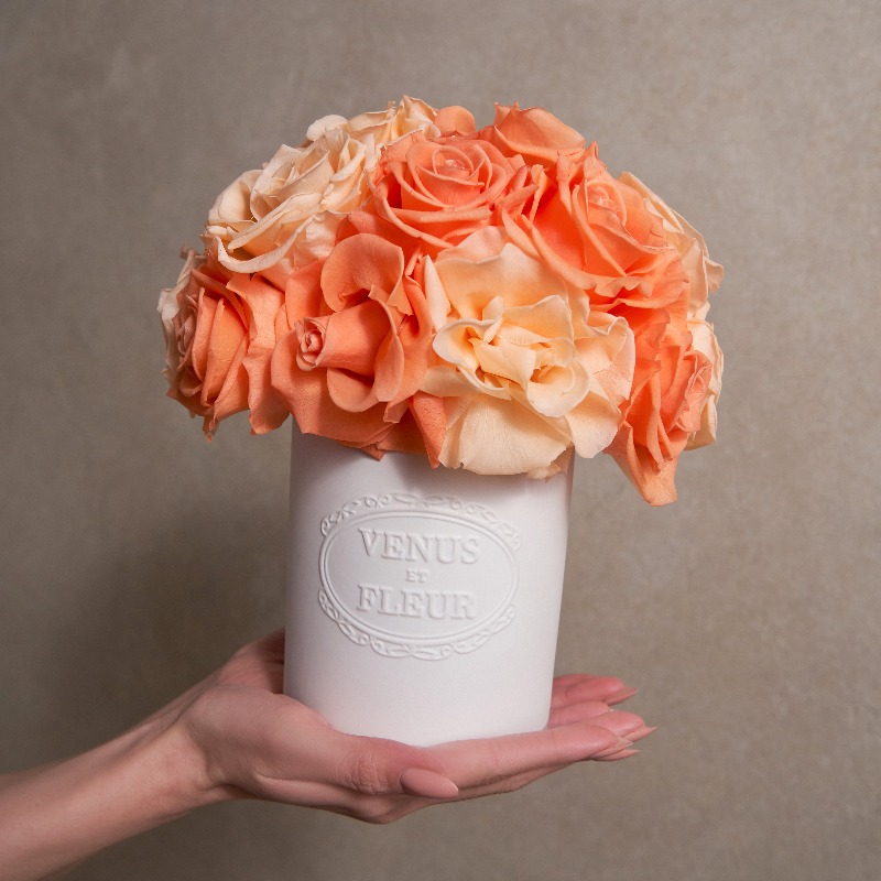 VenusetFleur's tweet photo. Indulge in pure luxury with the beauty of fresh flowers that last a year.