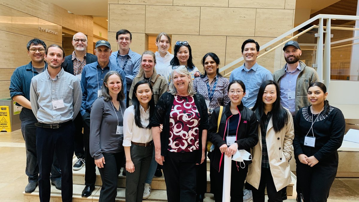 Lana Zholudeva tweet media