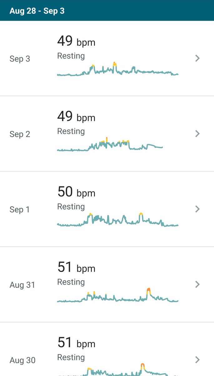 Michael Talarski tweet media