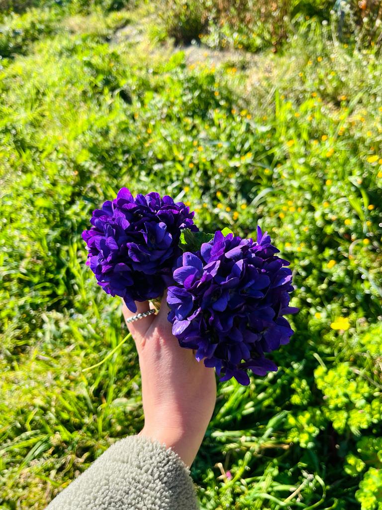 MawetB's tweet photo. @AslanovElshan 💜💜💜💜💜💜 https://t.co/eMintzfi5Z