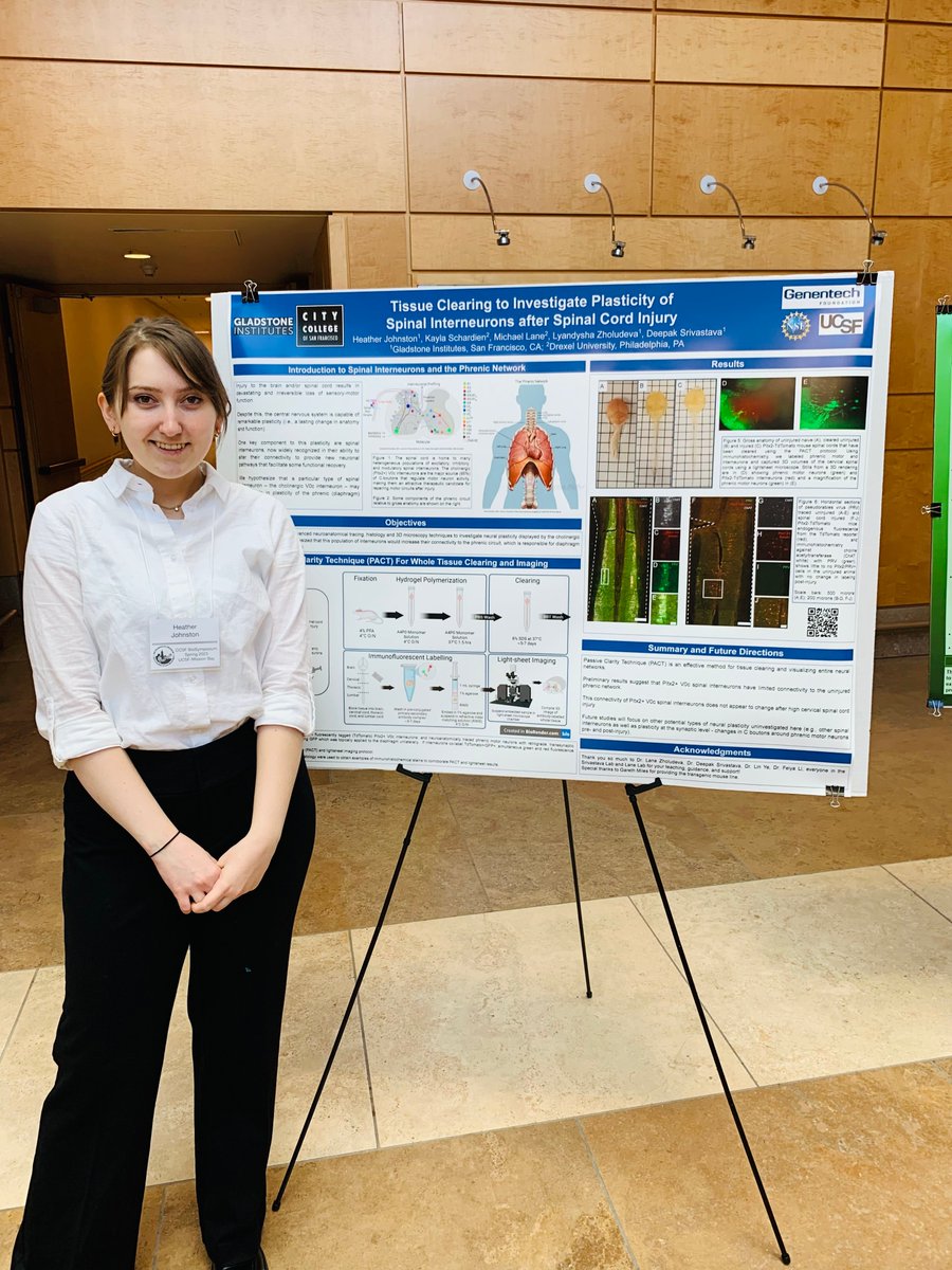 Lana Zholudeva tweet media