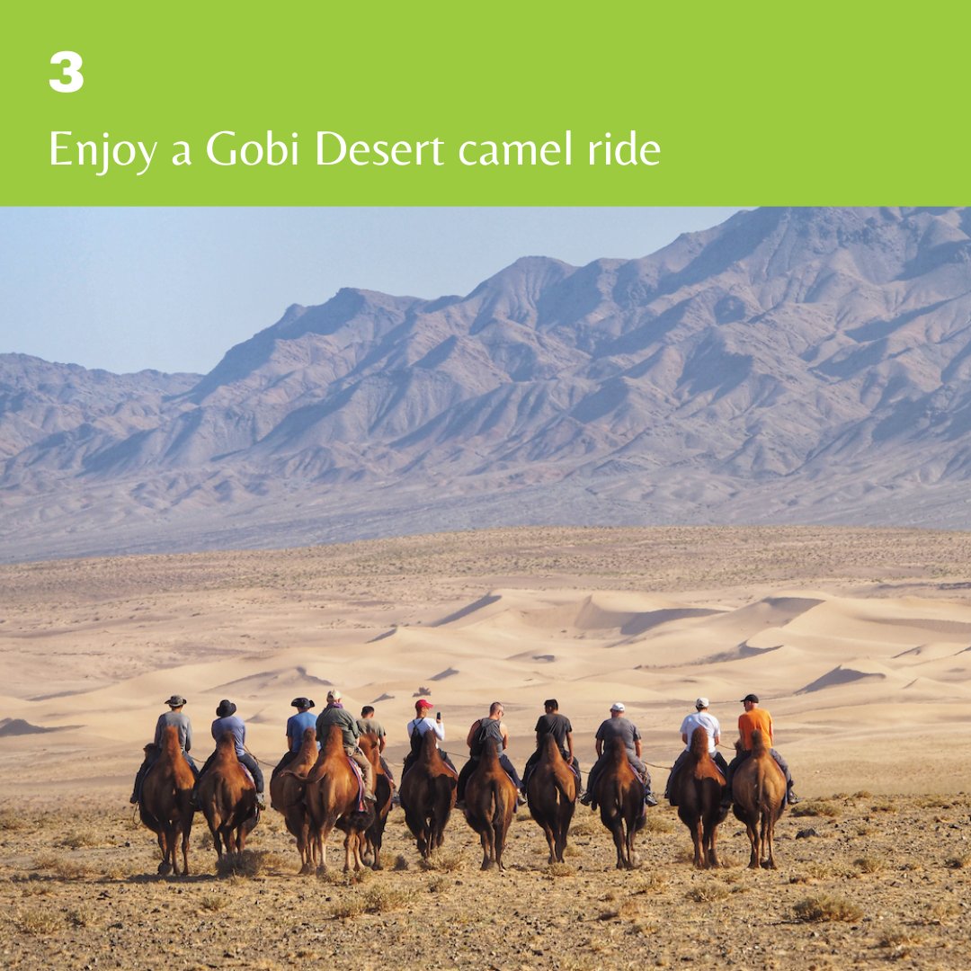 Feel like a nomad on our Mongolian expedition as we traverse the North Asian country by foot, camel and horseback. outadventures.com/gay-tours/mong… 
#gaycation #gayvacation #gaytravel #gayfriendly #gaymongolia