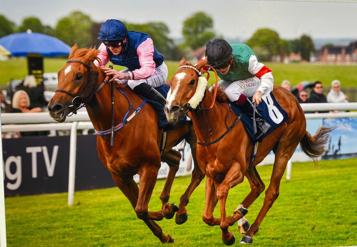 SabahMalSabah's tweet photo. First win for Edwina Sheeran! Our homebred daughter of Decorated Knight fought well under the brilliant @CierenFallonJr at Beverley. Many thanks to everyone at @Nawton_Racing!
#horseracing
#horse #beverley #decoratedknight
#sheeran #horsebreeding https://t.co/4sCSofq1lD