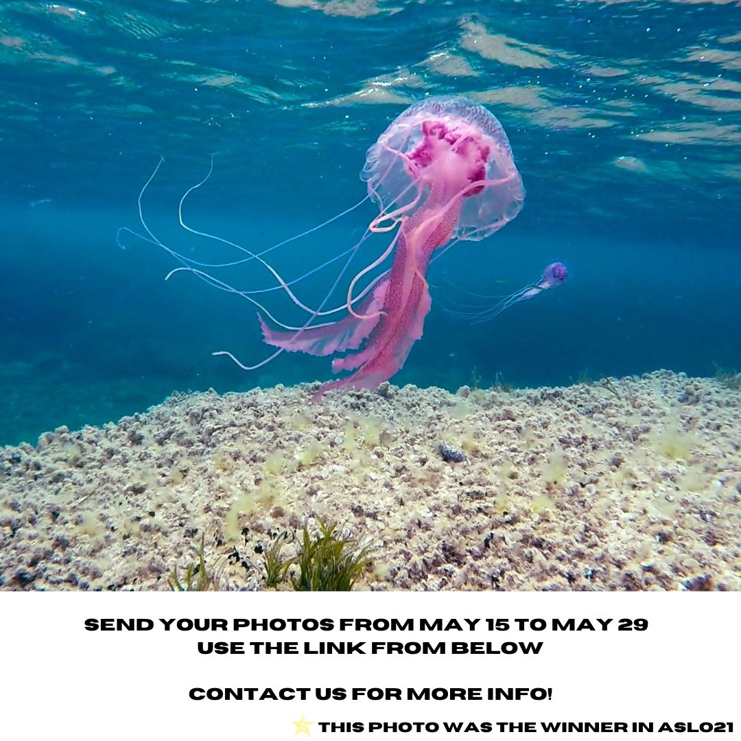 📸Attention all photography lovers📸 We're excited to announce our #ASLO2023PhotoContest with amazing prizes. 🏆Send a picture related with the meeting topic  and send it to aslo.org/palma-2023/pho… Good luck and see you soon in PALMA! 📸✨#aslo23