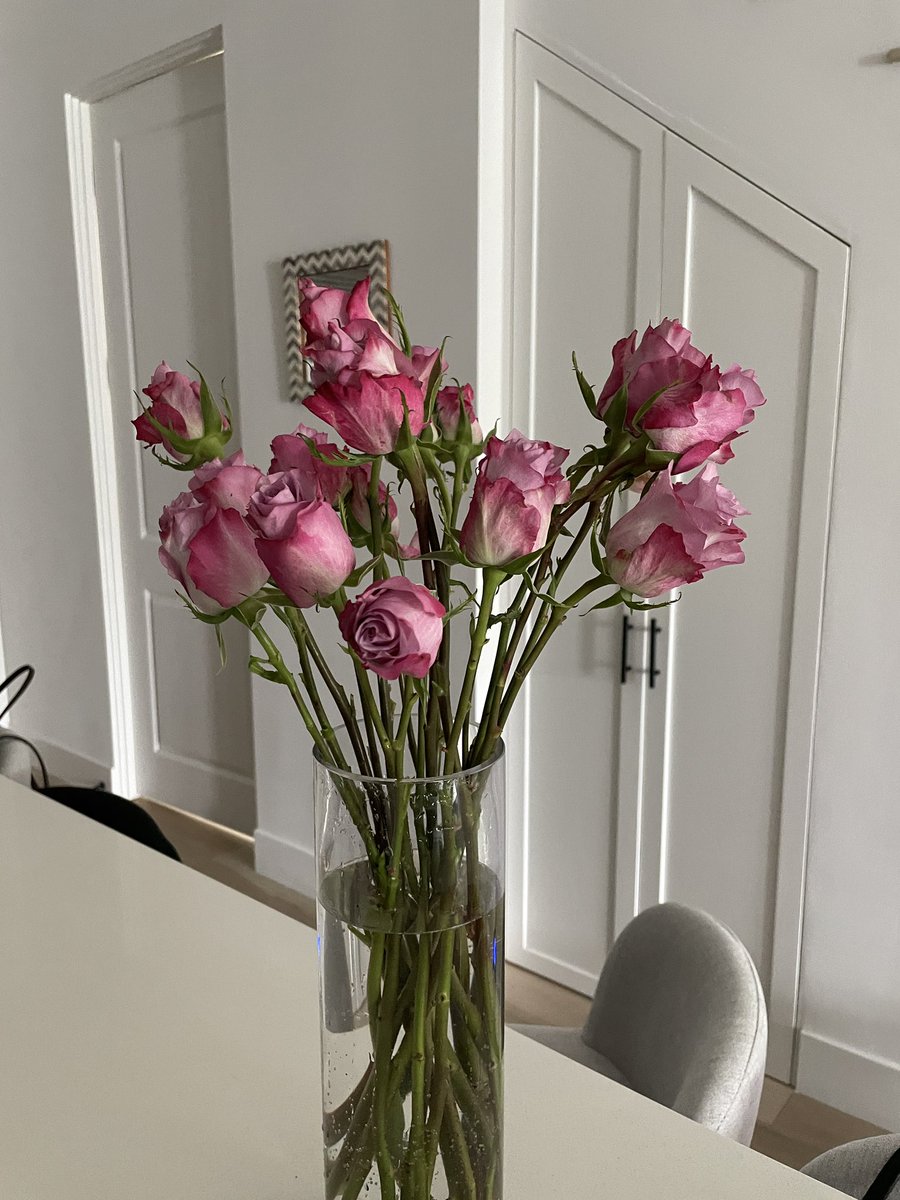 doughphelia ❤️‍🔥 tweet media