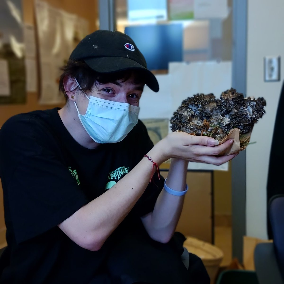 Allison Walker tweet media