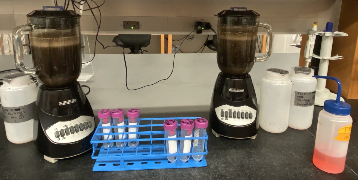 STREAM (@stream_cbg) on Twitter photo We’re processing samples shipped from <a href="/KawarthaConserv/">KawarthaConservation</a> today! Anyone up for a bug smoothie? <a href="/M_Hajibabaei/">Mehrdad Hajibabaei</a> 🐛🧬👀 We’re processing samples shipped from <a href="/KawarthaConserv/">KawarthaConservation</a> today! Anyone up for a bug smoothie? <a href="/M_Hajibabaei/">Mehrdad Hajibabaei</a> 🐛🧬👀