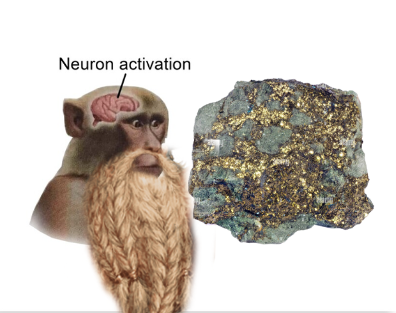 Dwarf posting tweet media