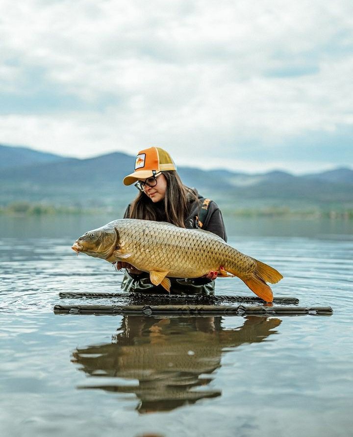 SAM_MENX's tweet photo. Epic place...😍🤩
Follow @Emily_j_Carolin
•
#foxint #foxhungary #mzcb #foxinternational #carpfishing #carpphoto #banklife #thatscarpy #fishinggirl #carp #carpwatch #onthebank #keepitword #karpfen #angling https://t.co/Sq86skNreA