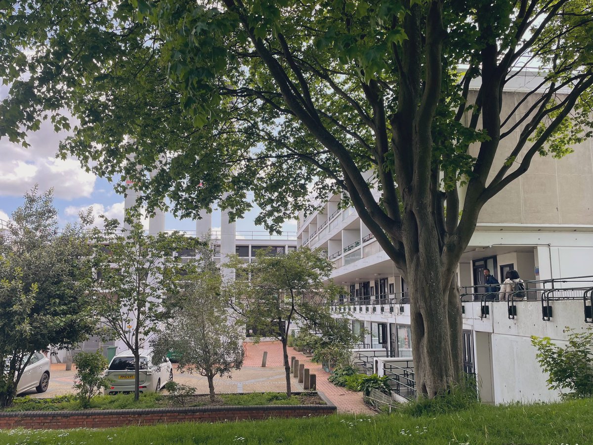 Yichang Sun tweet media