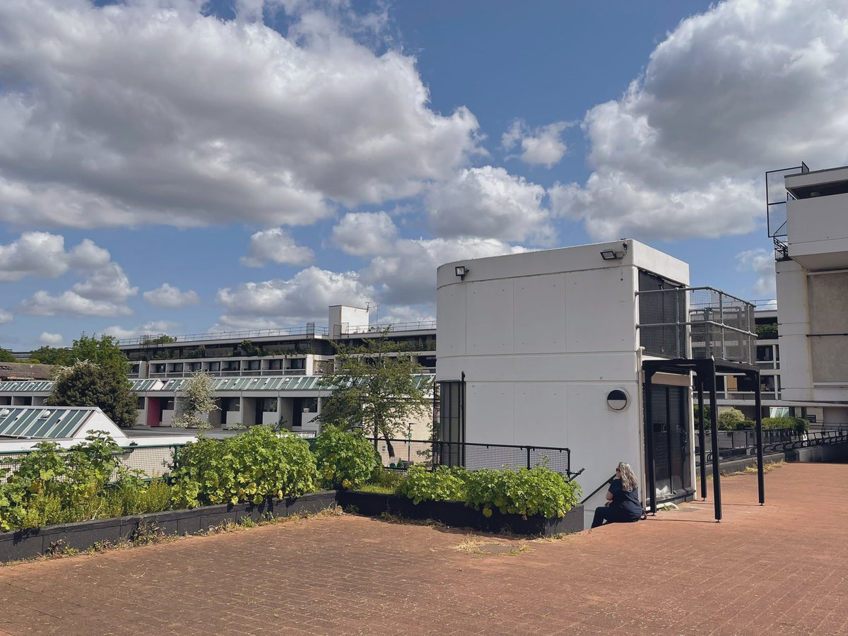 Yichang Sun tweet media