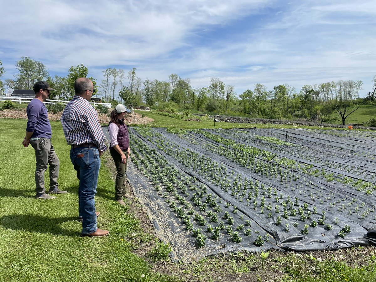 MikeNaigIA's tweet photo. Back on the road today! First stop was to @pepperharrow_ in Madison County where owners Adam and Jenn O’Neal showed me around their beautiful flower farm 🌸 

#IowaAg is full of diversity and farm-fresh flowers are a huge area of growth right now! https://t.co/1LetX5qB82