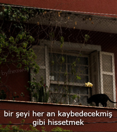 bytheaway's tweet photo. öğrendim. https://t.co/ysFWRV3W8M