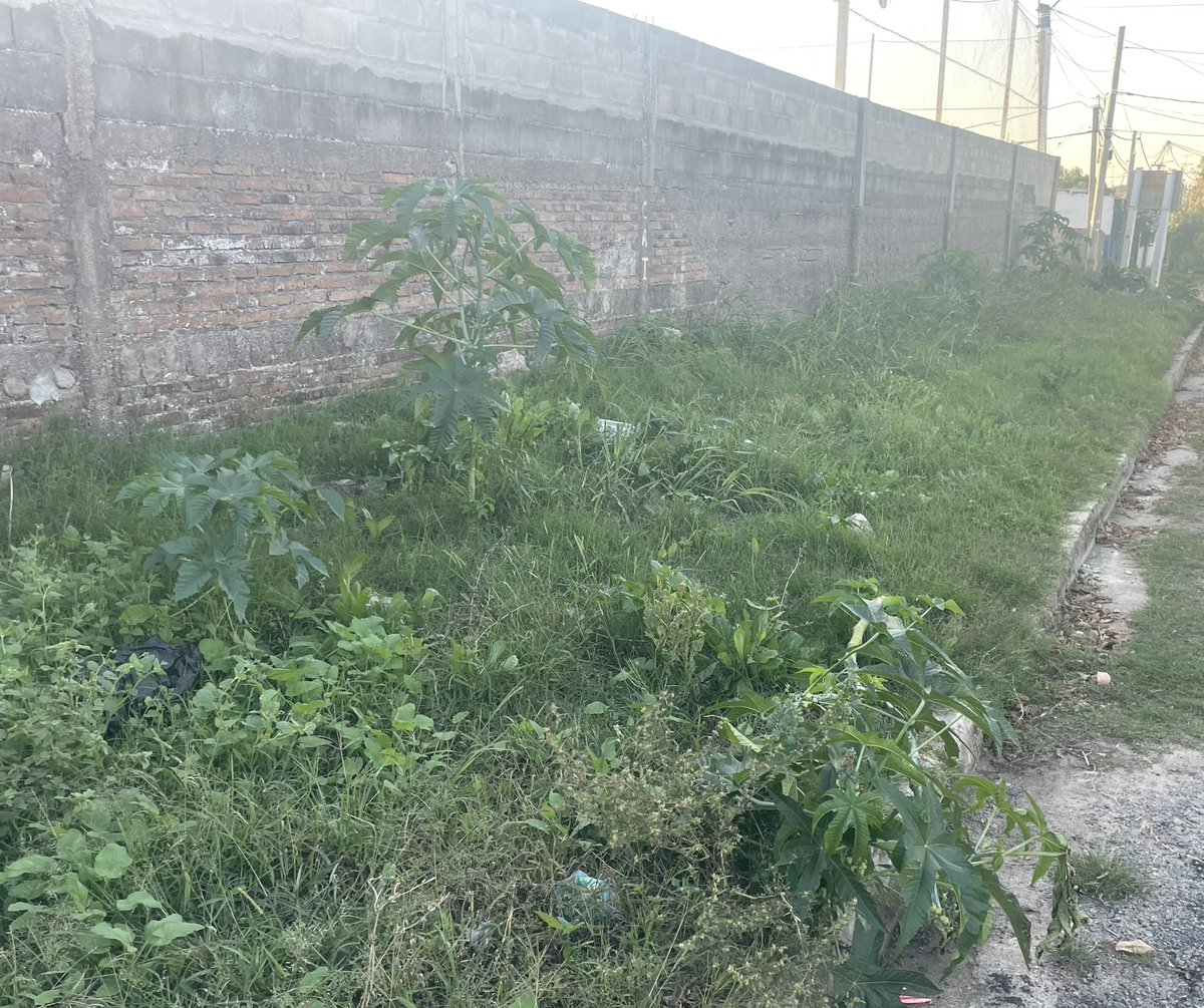 lucho_andriolo's tweet photo. Recorrimos en Mercedes junto a un dir del CAI, el canchero y @MartinezAldoo. Haedo atras del AMY.Reclamamos limpieza de desagües, veredas y la calle. Solicitamos que se hagan veredas de material para que no haya que cortar permanentemente el pasto @LuisLacallePou @lauraraffo https://t.co/VPKB4yTjtz