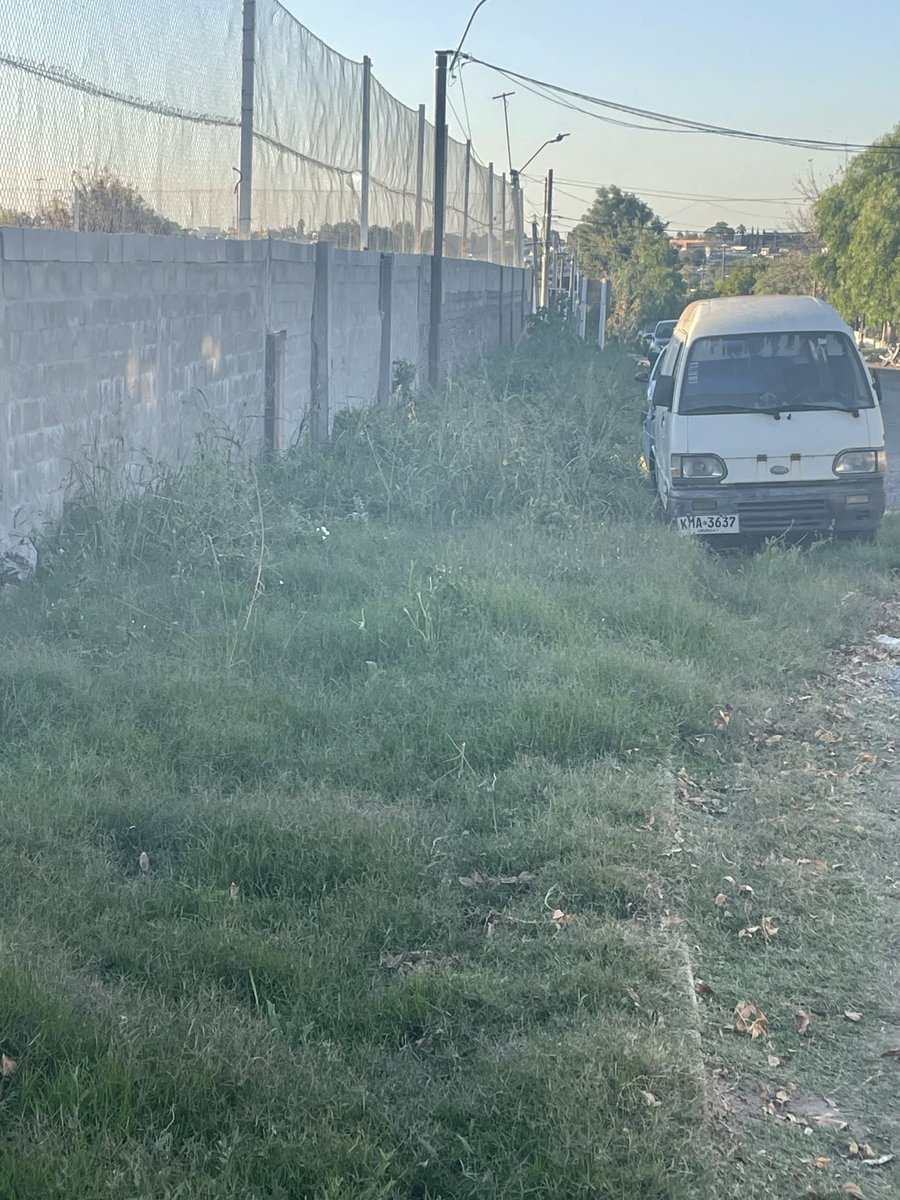 lucho_andriolo's tweet photo. Recorrimos en Mercedes junto a un dir del CAI, el canchero y @MartinezAldoo. Haedo atras del AMY.Reclamamos limpieza de desagües, veredas y la calle. Solicitamos que se hagan veredas de material para que no haya que cortar permanentemente el pasto @LuisLacallePou @lauraraffo https://t.co/VPKB4yTjtz