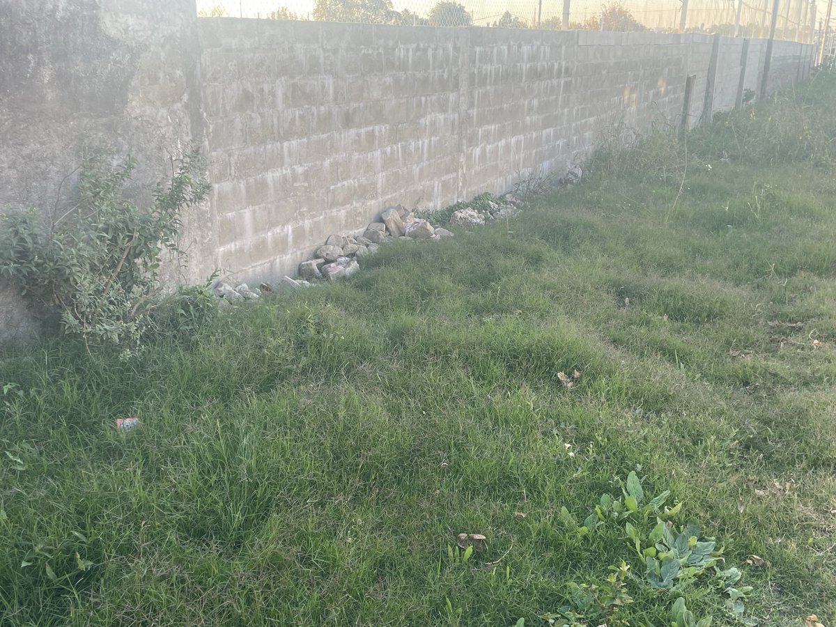 lucho_andriolo's tweet photo. Recorrimos en Mercedes junto a un dir del CAI, el canchero y @MartinezAldoo. Haedo atras del AMY.Reclamamos limpieza de desagües, veredas y la calle. Solicitamos que se hagan veredas de material para que no haya que cortar permanentemente el pasto @LuisLacallePou @lauraraffo https://t.co/VPKB4yTjtz