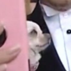 GellertDepp's tweet photo. this little doggy is looking at him with all the love in the world 😭😭😭 https://t.co/7XABOXA8Kh