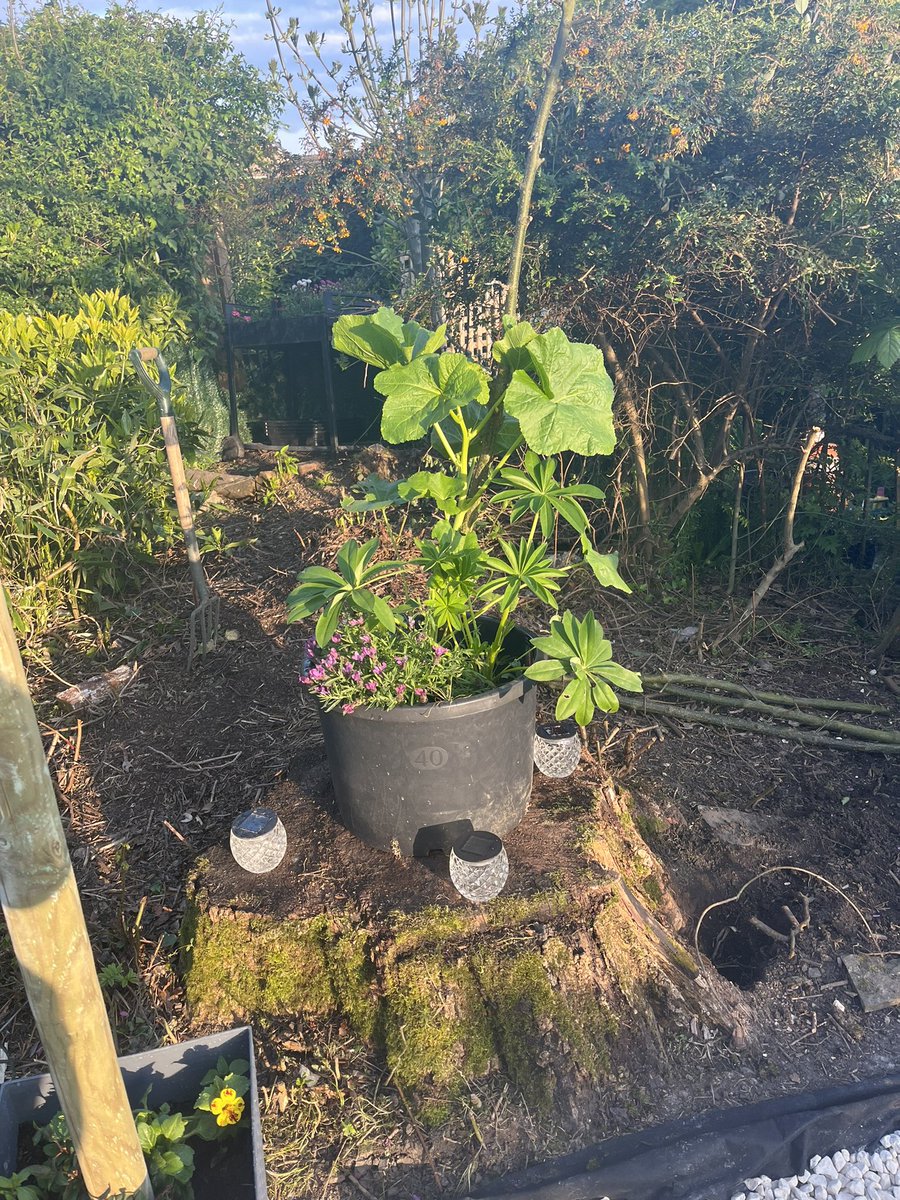 GemmaPuckett's tweet image. I like growing things it gives me a real sense of satisfaction and positivity especially at times when it feels challenging 🪴 #timeforme #perspective