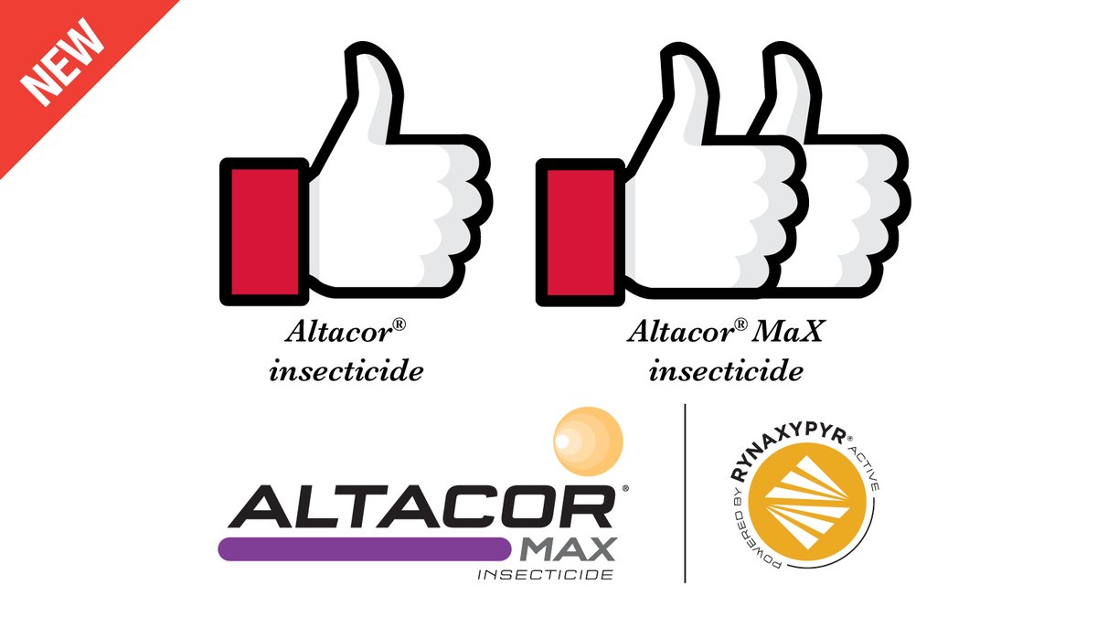 Altacor® insecticide: 👍 

Altacor® MaX insecticide: 👍 👍 

That’s because it’s 2X more concentrated with the same long-lasting insect control in 🍎, 🍇 , cranberries and other fruit crops.

Do more with less!

bit.ly/43VNJSi
#EastCdnAg #OntAg