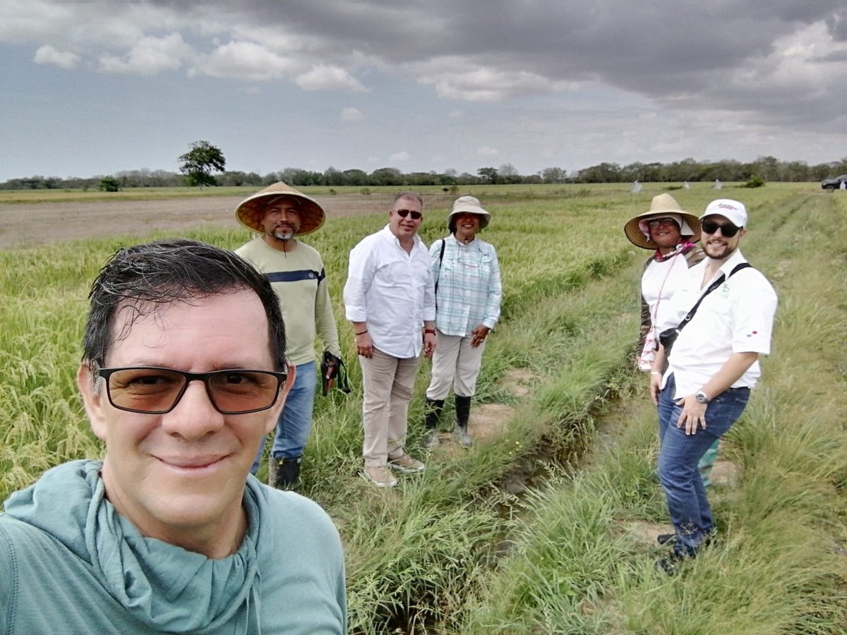 FLAR🌾🍚 (@arrozflar) on Twitter photo 🧵Édgar Corredor, fitomejorador de <a href="/arrozFLAR/">FLAR🌾🍚</a> para la Zona Tropical☀️, realizó una visita técnica a <a href="/conagrosemillas/">conagrosemillas</a> e <a href="/IDIAP_PA/">IDIAP Panamá</a>, miembros del FLAR en #Panamá🇵🇦, y junto a sus equipos técnicos cumplió la siguiente agenda👇 🧵Édgar Corredor, fitomejorador de <a href="/arrozFLAR/">FLAR🌾🍚</a> para la Zona Tropical☀️, realizó una visita técnica a <a href="/conagrosemillas/">conagrosemillas</a> e <a href="/IDIAP_PA/">IDIAP Panamá</a>, miembros del FLAR en #Panamá🇵🇦, y junto a sus equipos técnicos cumplió la siguiente agenda👇
