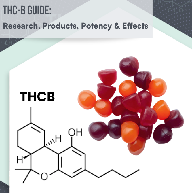 ACSLaboratory's tweet photo. As the world of cannabis science continues to unveil its hidden treasures, THCB has emerged as a minor cannabinoid with tremendous potential.👇

https://t.co/wl8io0t69l

#THCB #Tetrahydrocannabutol #CannabisScience #MinorCannabinoid #Delta9THC #ACS #ACSLaboratory #thirdpartylab https://t.co/nvTHtQDvKS