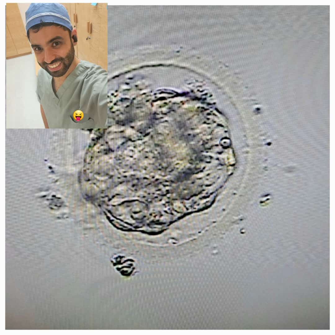 Juandavid24_'s tweet photo. #fertility #reprodution Material #UDES #UIS
En algún lugar de la mancha. https://t.co/4IkAAqgEnC