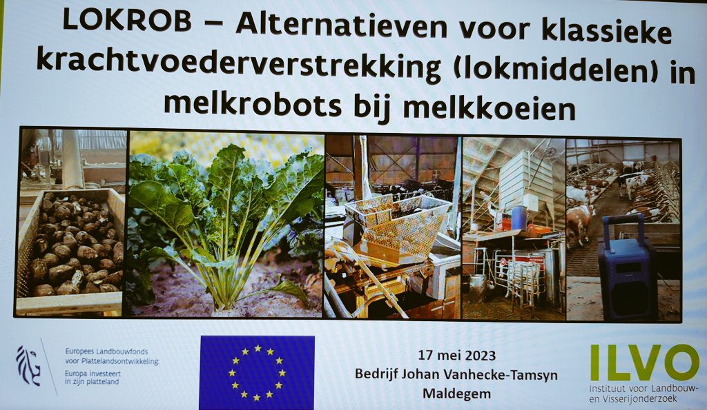 LeVndaele's tweet photo. We zijn er helemaal klaar voor! Zoveel interesse => inschrijvingen afgesloten #research 🐄 #innovatievelandbouw @ILVOvlaanderen https://t.co/zNALMVDntX