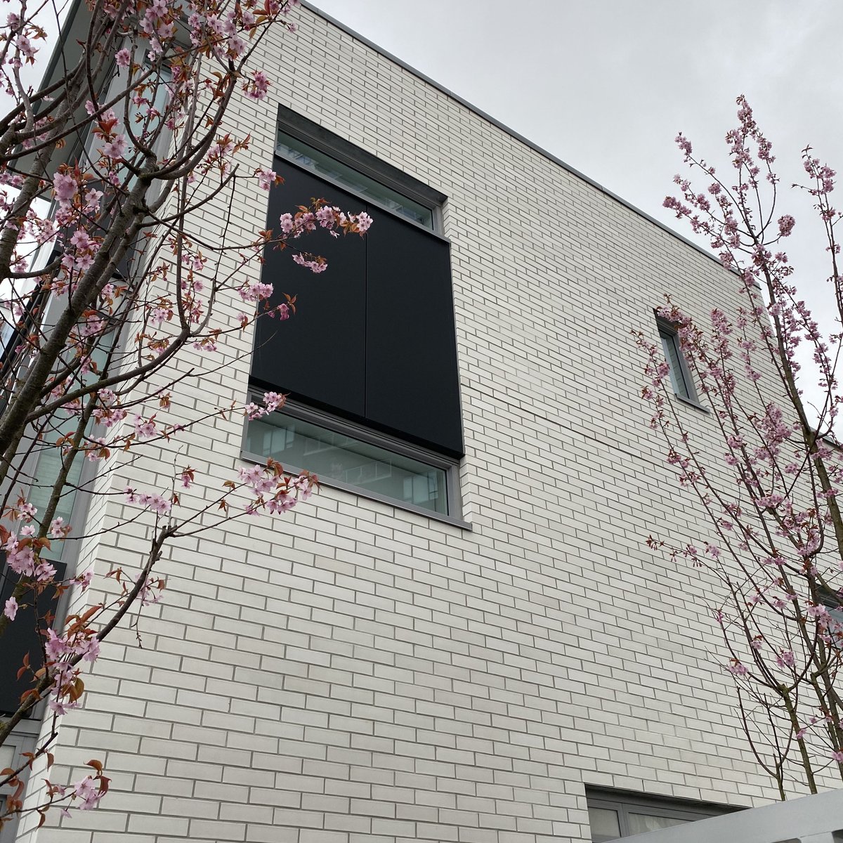 The Brock White team is excited to showcase this Surrey, BC project showcasing our Contemporary White Smooth Brick!
Learn More: ow.ly/rMsM50NVj6A