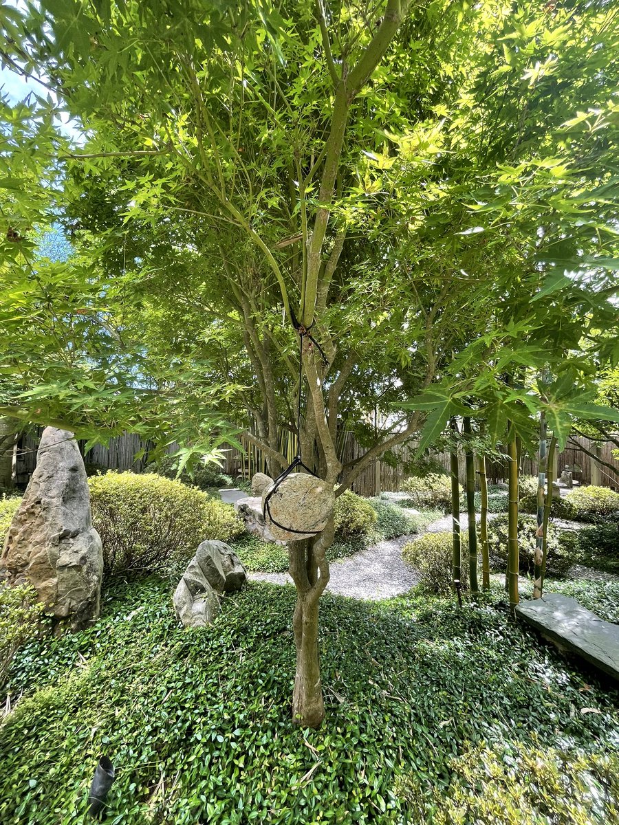 Alecia | Leisure Lambie tweet media