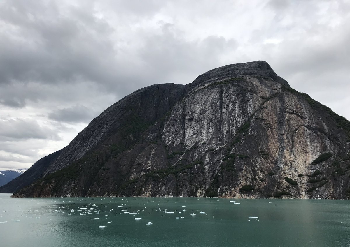 Alecia | Leisure Lambie tweet media