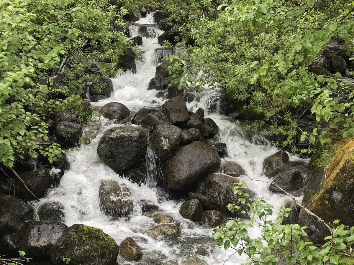 Alecia | Leisure Lambie tweet media