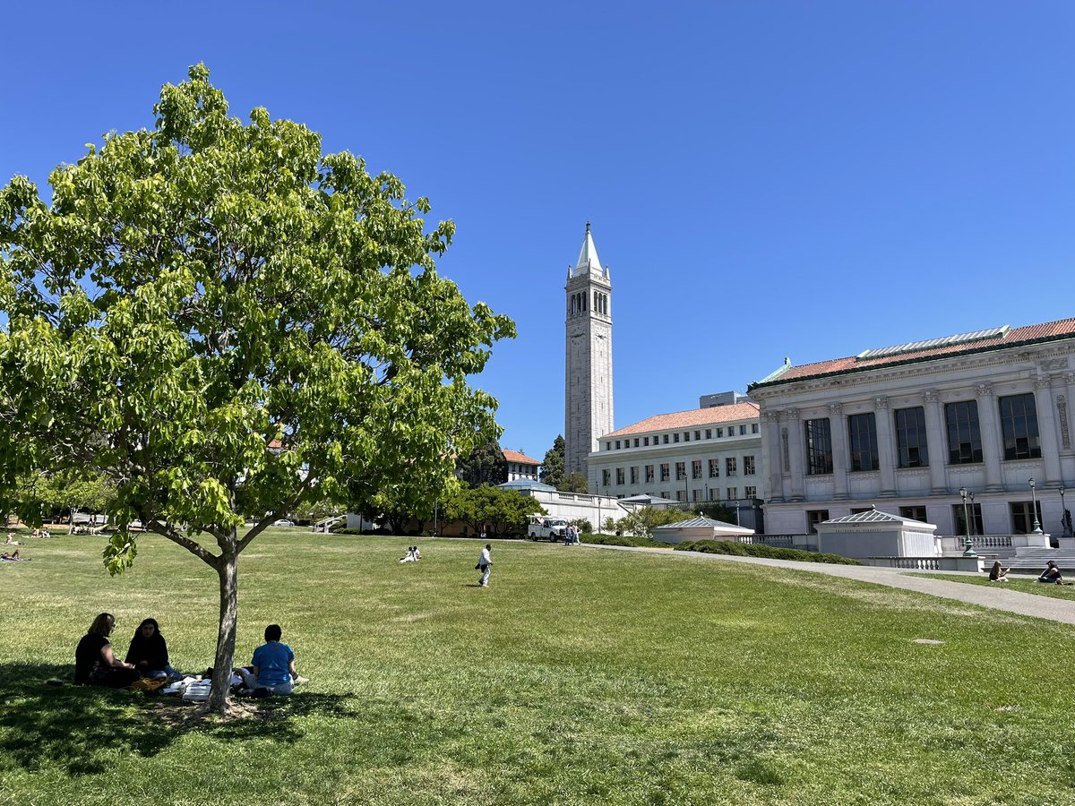 Sebastian Stein tweet media