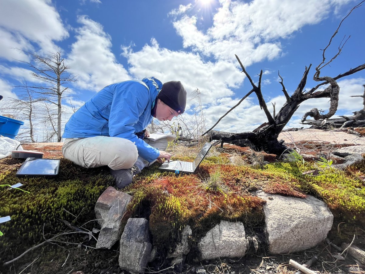 peatofmind's tweet image. Moss regeneration and restoration research with the @McMasterScience iSci “generations trio team”. All current or former iSci students.

BSc @EmmaTutt29, MSc Maia Moore, and PhD @KyraLSimone 

#ParrySound33
#PeatTwitter
#GeorgianBay