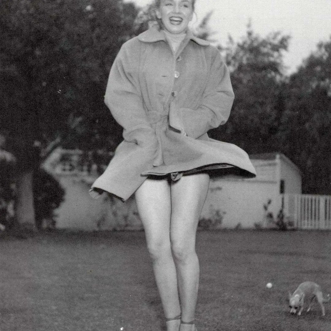 Clubpassionmar2's tweet photo. #Marilyn #marilynmonroe #clubpassionmarilyn #earlleaf #johnnyhyde #josefa https://t.co/lYITQu6guq