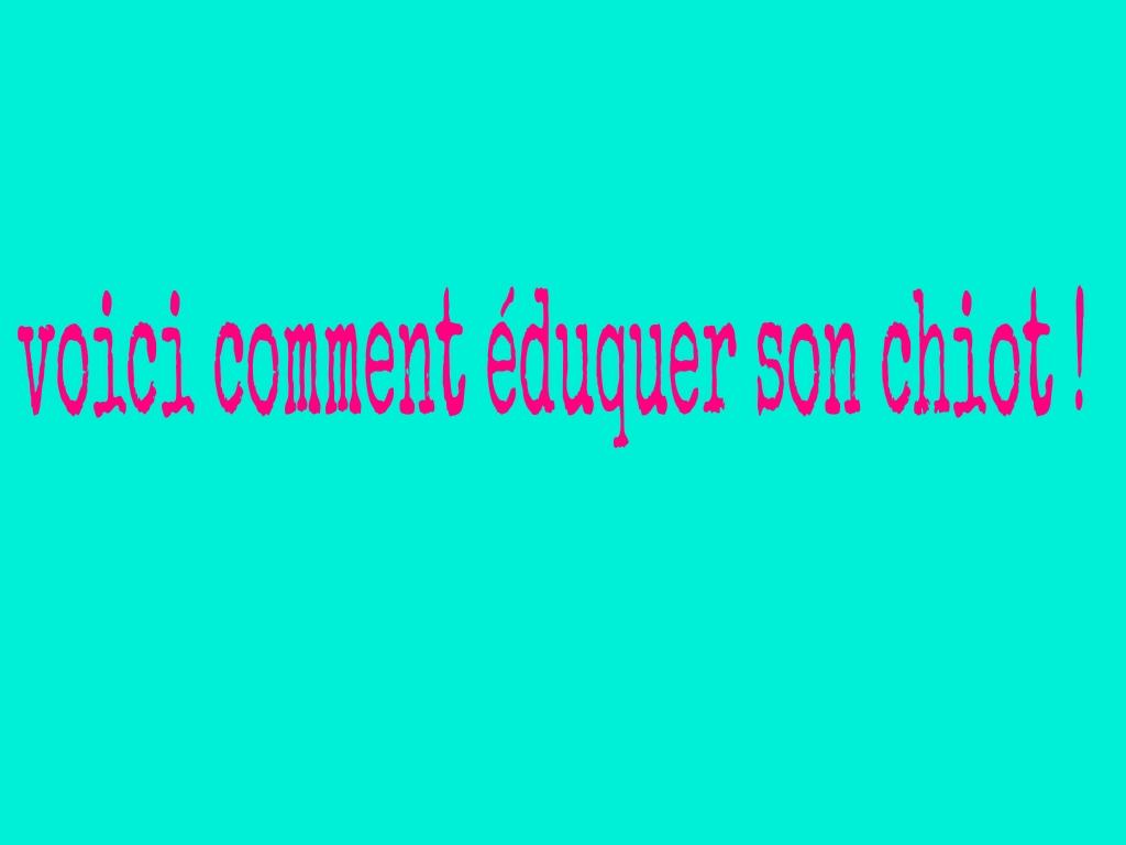 MesierPrv's tweet image. Comment #éduquer son #chiot pour avoir un #chien bien #dresser

toppubprv.blogspot.com/2023/05/commen…