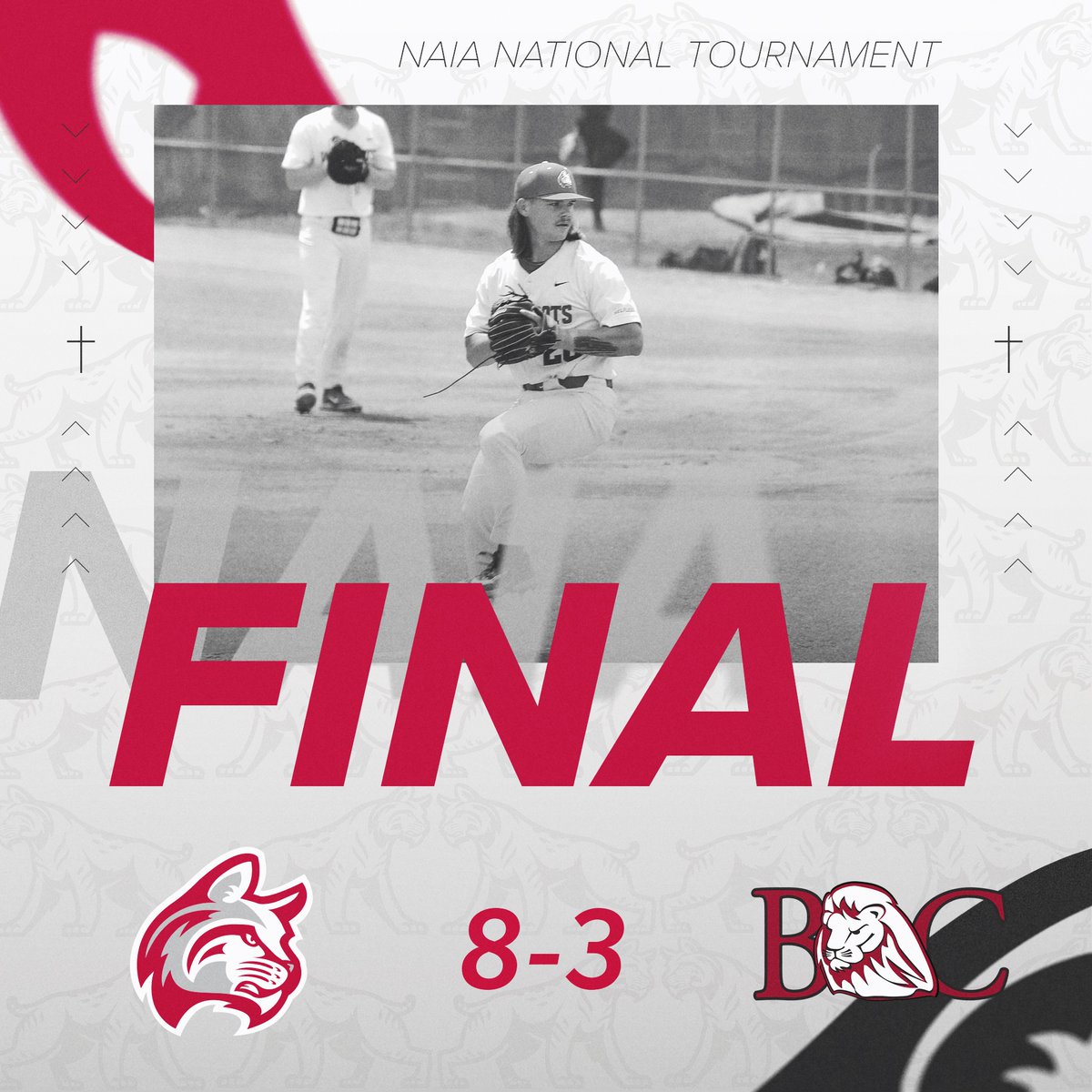 IWUWildcats's tweet photo. The Wildcats take down Bryan College 8-3 and advance to the Kingsport Bracket Championship game!⚾️
#BattleForTheRedBanner
@IndWes | @Crossroads_NAIA
@NAIA | @NAIABall https://t.co/ehiDA8zIot