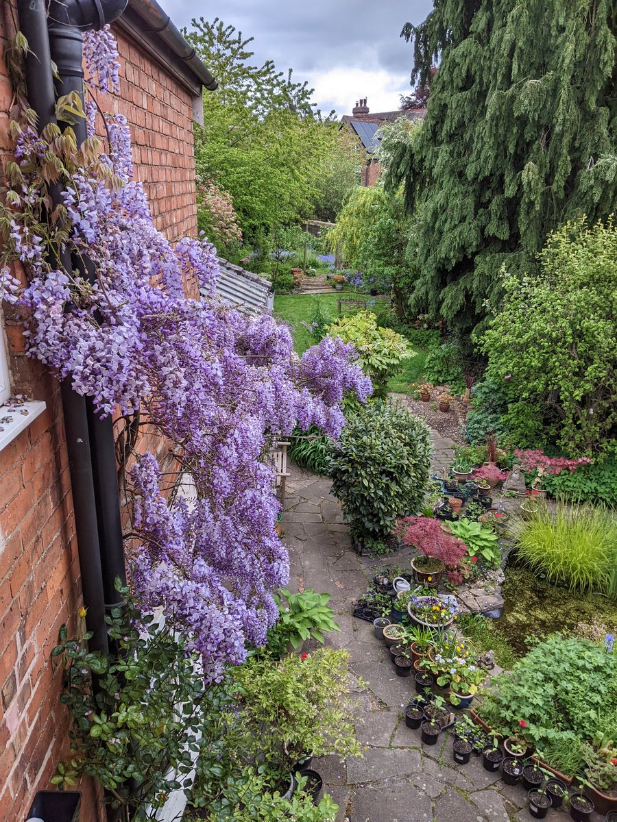 lundpa's tweet image. #latespring