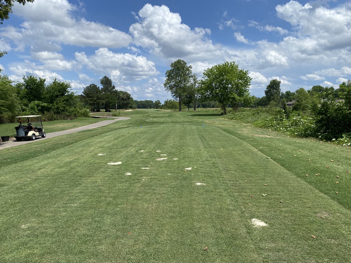 #13 tee box is looking great. A lot of good work.