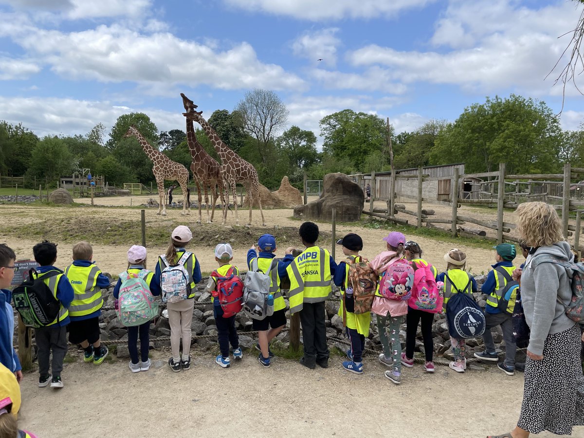 Y1WFA's tweet photo. We have lots of recent learning to share, for now we are really excited about our learning about animals, seeking to answer the question”are humans animals?”. We had some lovely conversations and marvellous experiences today. Thank you Year 1 you did us proud! #animaldetectives https://t.co/f95sM8gS02