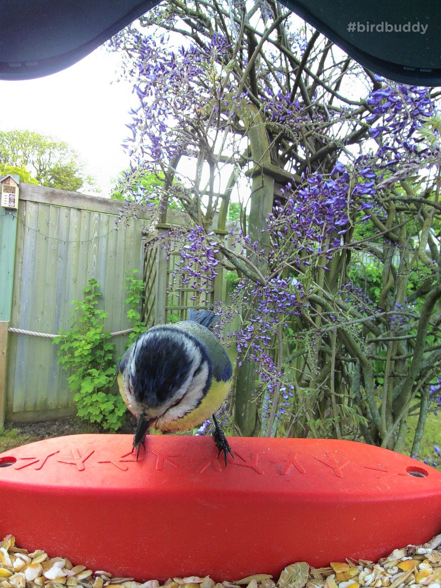 Simon Nobs @SnobsInteriors tweet media