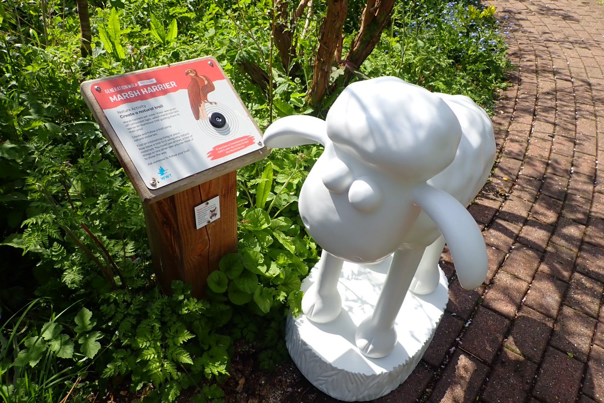 TracyVise's tweet photo. Herons Dale Primary School's mini Shaun has been helping to make sure that places the children are going to visit are safe and ready for us.  He started this important job at Arundel Wetlands ready for Amethyst class @martletshospice @shaunbythesea @WWTArundel https://t.co/abYO36rt28