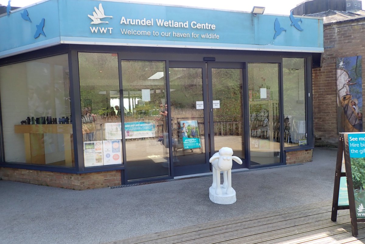 TracyVise's tweet photo. Herons Dale Primary School's mini Shaun has been helping to make sure that places the children are going to visit are safe and ready for us.  He started this important job at Arundel Wetlands ready for Amethyst class @martletshospice @shaunbythesea @WWTArundel https://t.co/abYO36rt28
