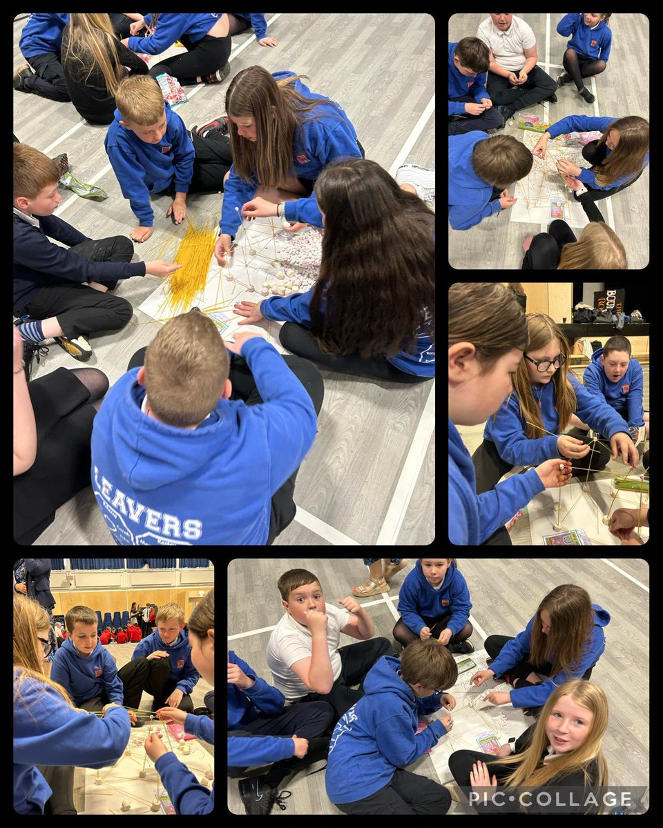 Blacklands Primary🌈 tweet media