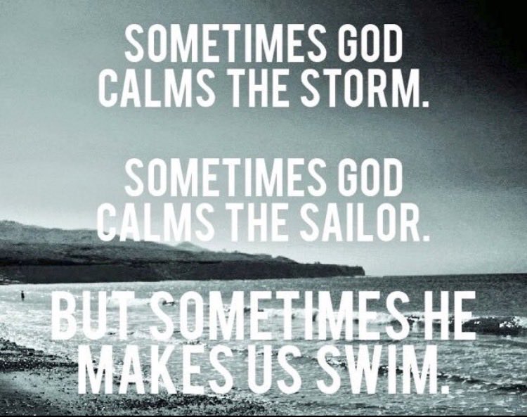 Scott Sallach tweet media