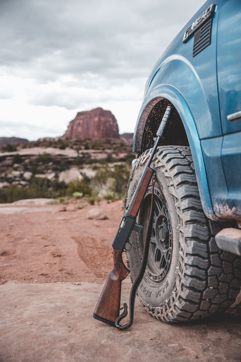 shootingtargets's tweet photo. Name the animal? Some states have a different name for this critter.
SWIPE << for dirt nap host.
#STUSA #targetrichenvironment #AmericasTargetCompany https://t.co/vM8vZ8USoO