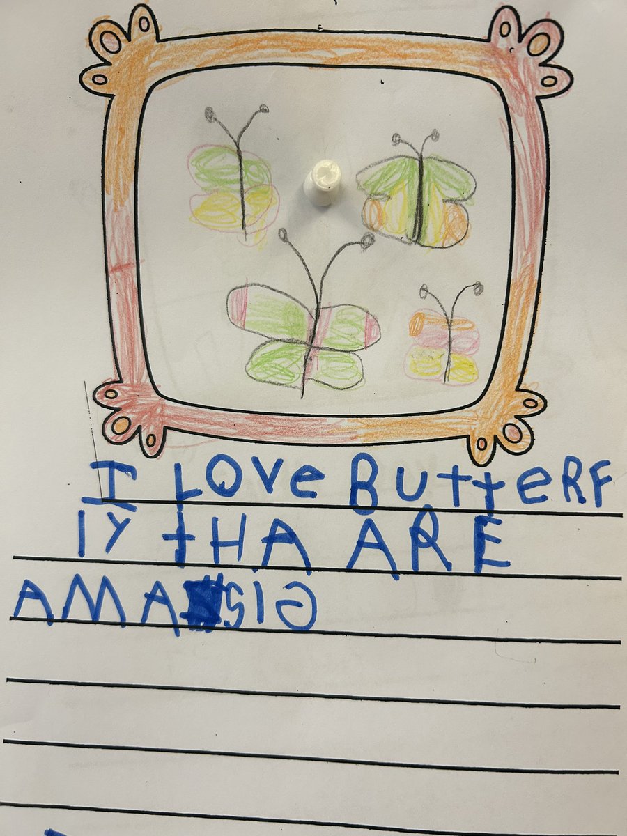 MsGiovannaSalas's tweet photo. Our writers workshop this week was about our classroom’s pets and their metamorphosis #kidwriting in #kindergarten @EarlyYearsTDSB @TDSB_McMurrich https://t.co/ID3haBzluL