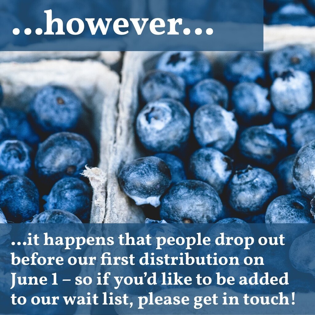 StantonStCSA's tweet photo. Enrollment closed, but our wait list is open!

— — — — — — —
Farmer Ted has closed enrollment for this upcoming 2023 season. However, it happens that people drop out before our first distribution on June 1st – so if you’d like to be added to our wait lis… https://t.co/B7EsZMcIt4 https://t.co/hiscQk6XTE