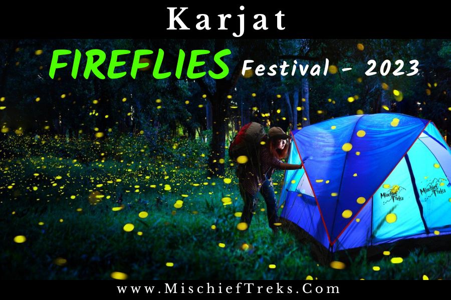 Karjat Fireflies Festival by Mischief Treks
Details on:  mischieftreks.com/tours/fireflie…
_________________________
#mischieftreks #fireflies #FirefliesFestival #mumbai #camping #trekking #trek #thingstodo #thingstodoinmumbai #events #weekend #weekendgetaway