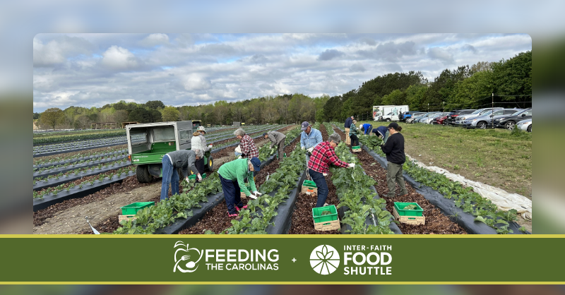 FeedCarolinas's tweet image. We unite the 10 @FeedingAmerica Food Banks in NC &amp;amp; SC. Learn more about the work of our friends at @FoodShuttle, one of our member Food Banks who are committed to feed, teach, grow, and cultivate: foodshuttle.org #FeedTheCarolinas #SolveHunger