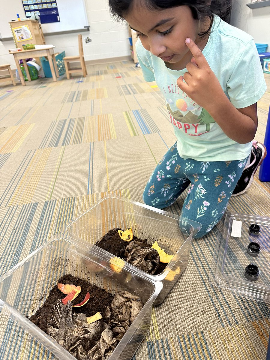 Kelly Dickerson tweet media